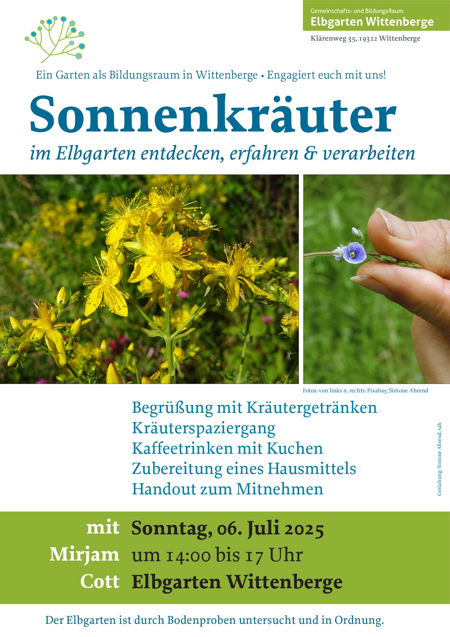 Sonnenkräuter – Wildkräuter im Hochsommer entdecken, erfahren und verarbeiten