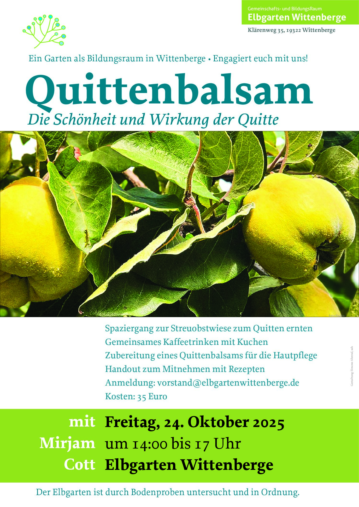 Quittenbalsam – Die Schönheit und Wirkung der Quitte